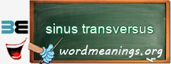 WordMeaning blackboard for sinus transversus